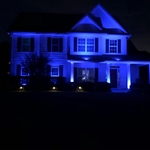 Whole System Color