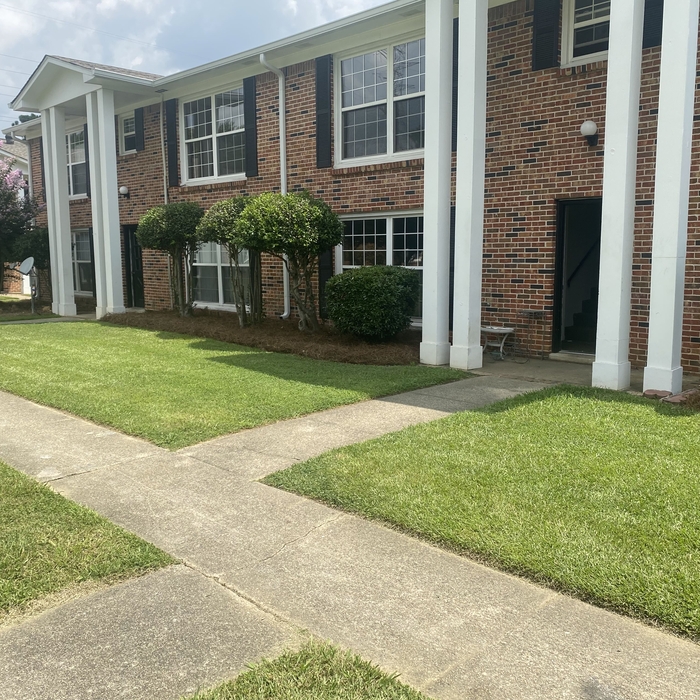 Landscaping Project