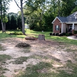 Stewart job. 2 removals of oak tree one small removal of storm-damaged tree SPECIAL OPS TREE DOCS. top notch quality work for competitive price bonded licensed and insured