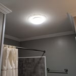 Additional Photos