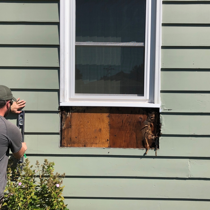 Removing rotten siding