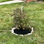 Garden reno