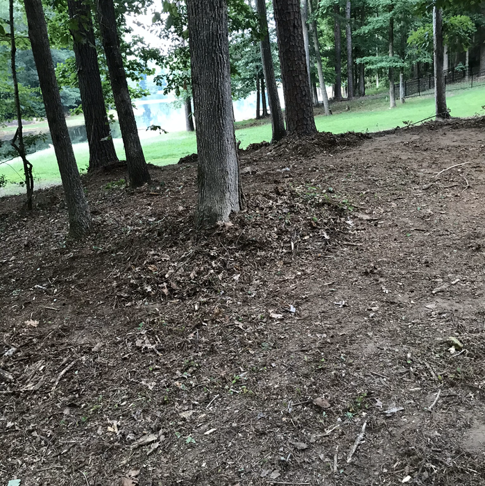 Additional Photos