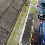 Gutter Cleaning