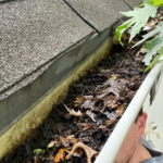 Gutter Cleaning