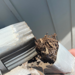 Gutter Cleaning