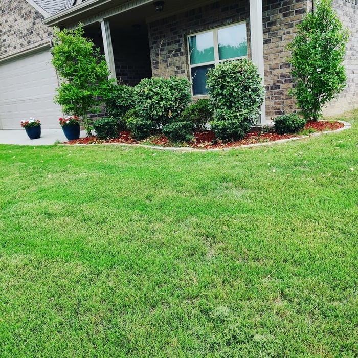 Additional Photos
