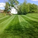 Lawn Maintenance