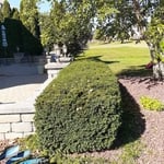 Trimming