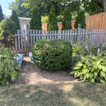 Additional Photos