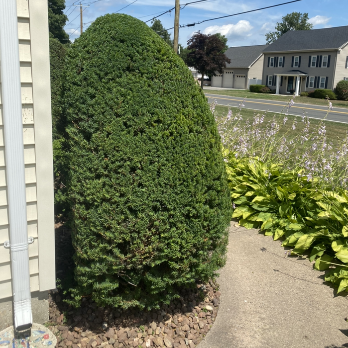 Additional Photos