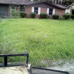 Mowed Lawn