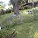 Mowed Lawn