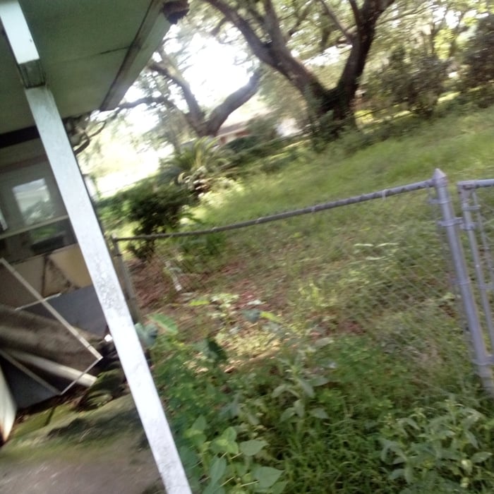 Mowed Lawn