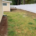 Sod installation