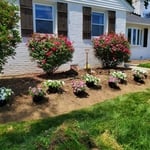 Placement of plants before the digging begins!