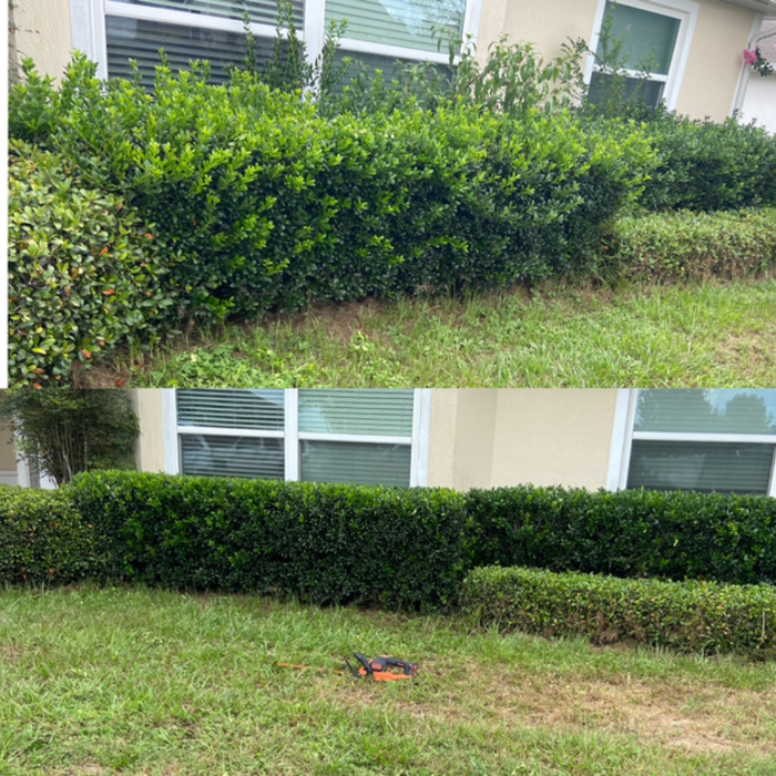 Additional Photos