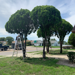 Additional Photos