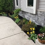 Landscaping Project