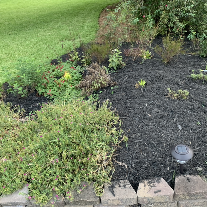 Additional Photos