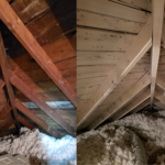 White and black mold in attic