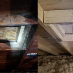 White and black mold in attic