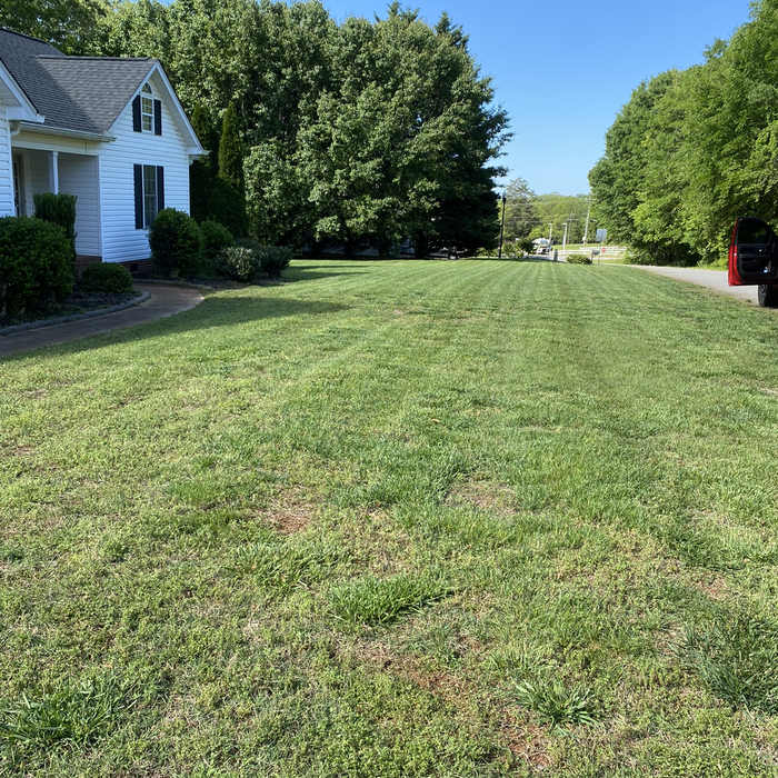 Additional Photos