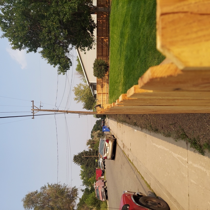 New Yard