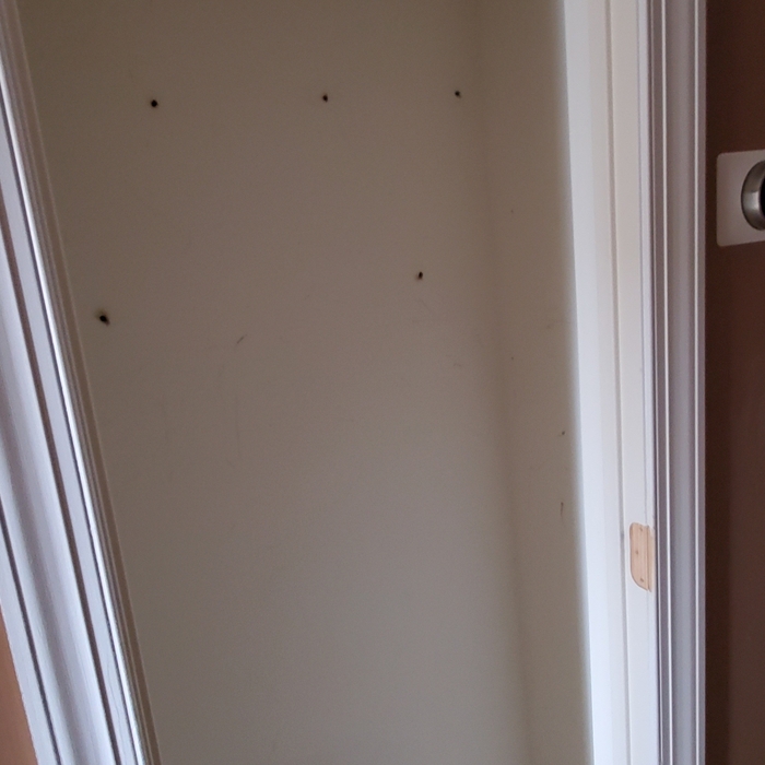 Hallway closet