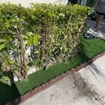 Landscaping Project