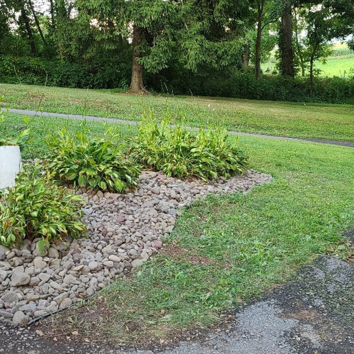 Additional Photos