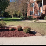 Landscape design