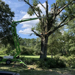 Additional Photos