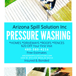 Window cleaning/pressure washer