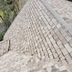 MOSS REMOVE AND CLEANING