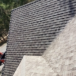 MOSS REMOVAL AND TREATMENTS