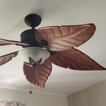 Fan light combo