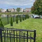 Yard maintenance