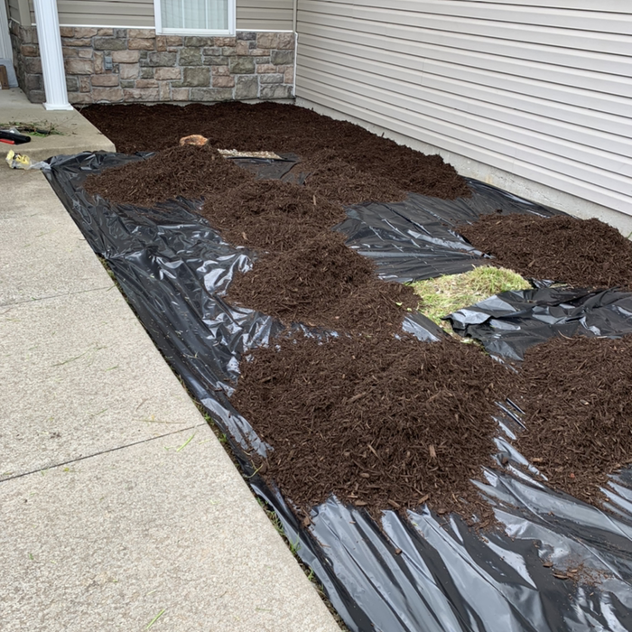 Additional Photos