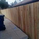 310 ft of Japanese Red Cedar in NW OKC