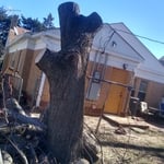 Tree Trimming From Ice Storm Damage