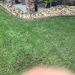 Landscaping Project