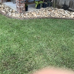 Landscaping Project