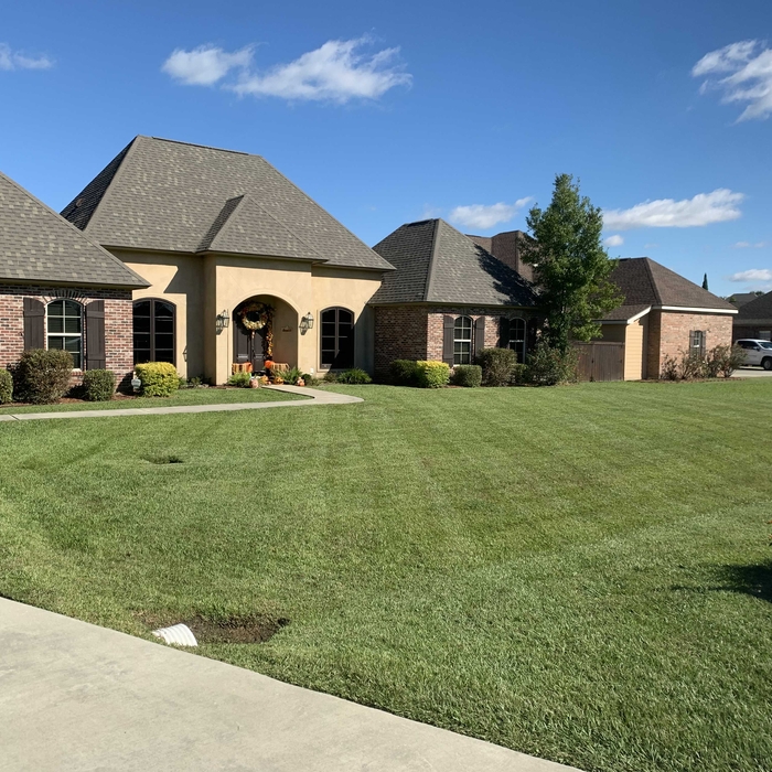 Landscaping Project