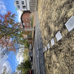 Landscaping Project