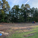 57 Pines Removed in Beulaville, NC