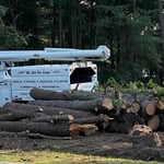 57 Pines Removed in Beulaville, NC