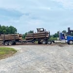 57 Pines Removed in Beulaville, NC