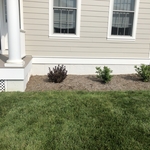 Basic Hardscaping