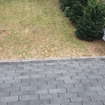 Lawn maintenance